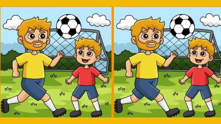 Brain Teaser Spot the Difference Picture Puzzle: Can you Spot 3 Differences in these Pictures?