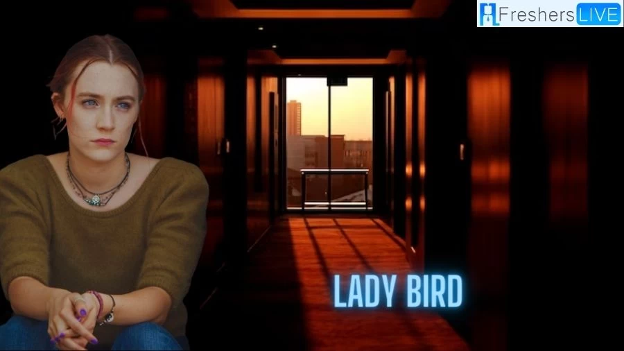 Is Lady Bird in Theaters? When Will Be the Lady Bird Re-release?