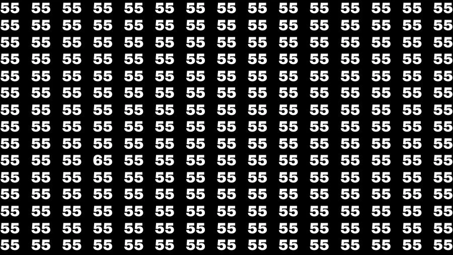 Observation Brain Test: If you have Eagle Eyes Find the Number 65 among 55 in 10 Secs