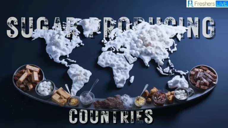Sugar Producing Countries of The World - Top 10 Sweetening Global Economies