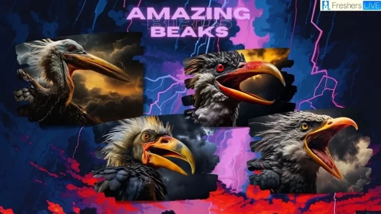 Top 10 Birds With Amazing Beaks - Top 10