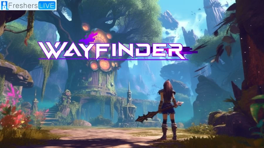 Wayfinder Maximum Player Capacity Reached, How to Fix it?
