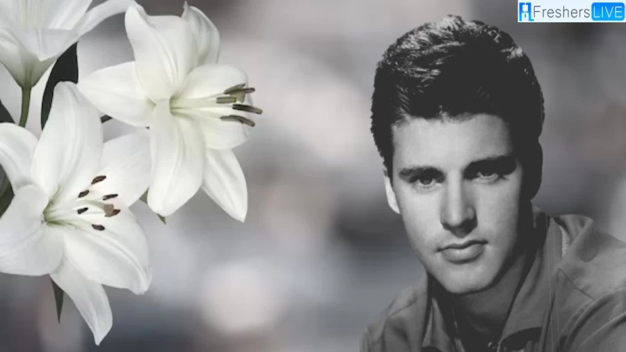 What Happened to Ricky Nelson? How Did Ricky Nelson Die? Ricky Nelson Cause of Death