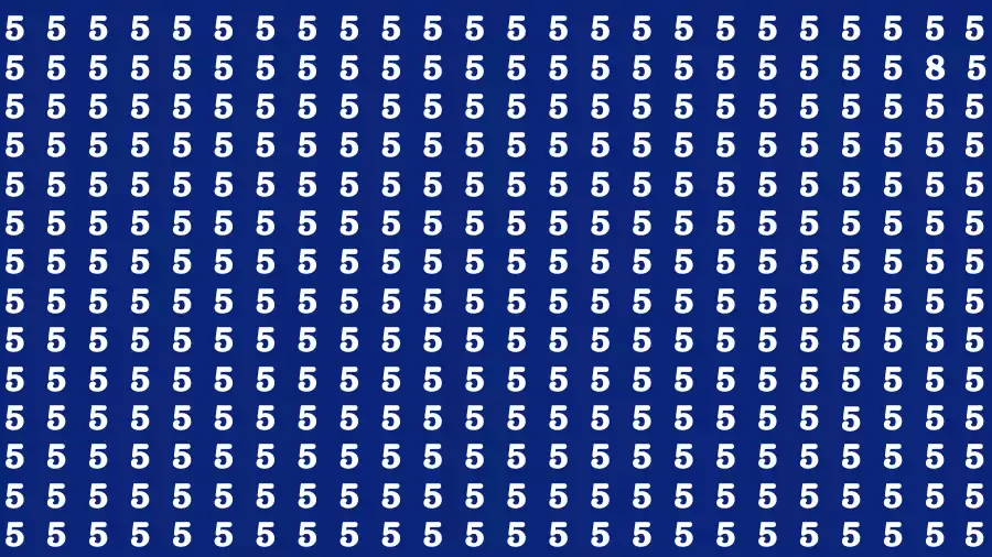Observation Brain Test: If you have Hawk Eyes Find the Number 8 among 5 in 15 Secs