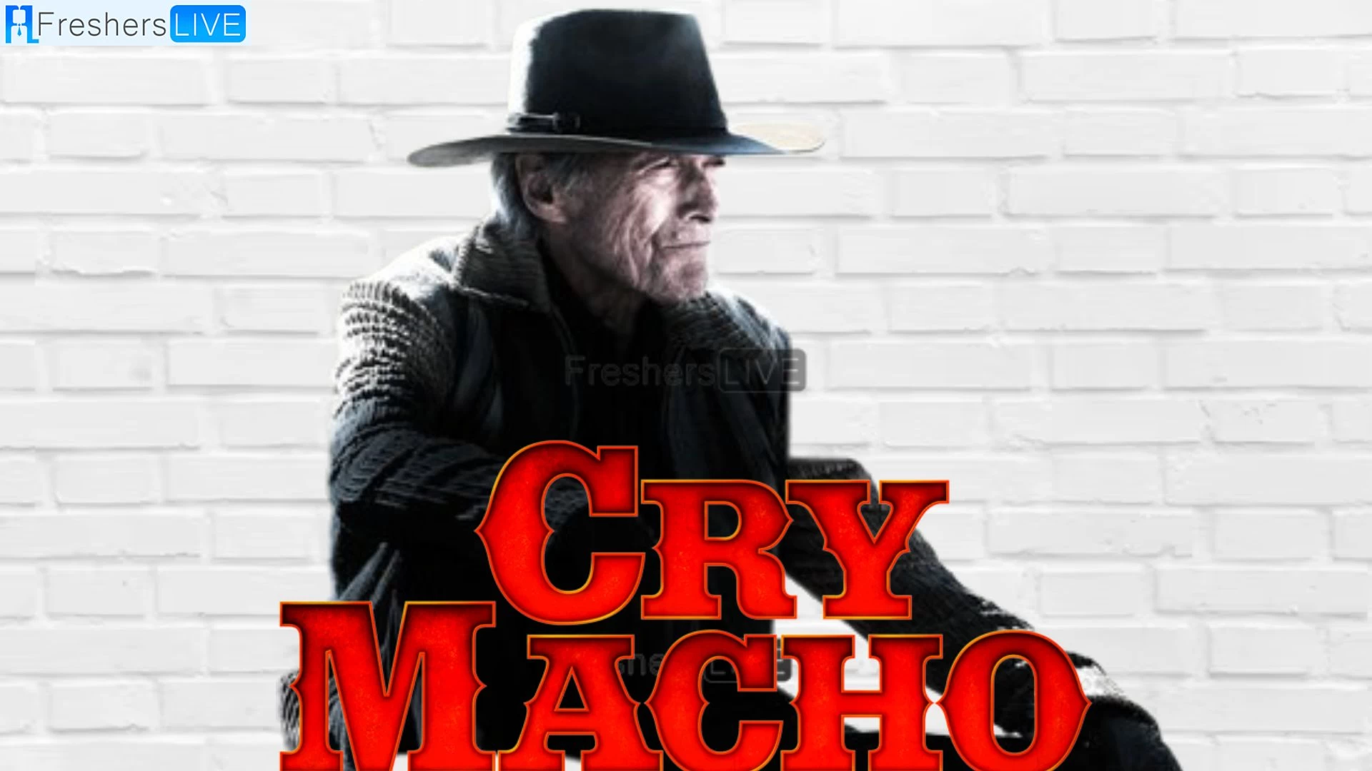 Is Clint Eastwood's Cry Macho Based on a True Story? Clint Eastwood's Cry Macho Cast, Plot, and More