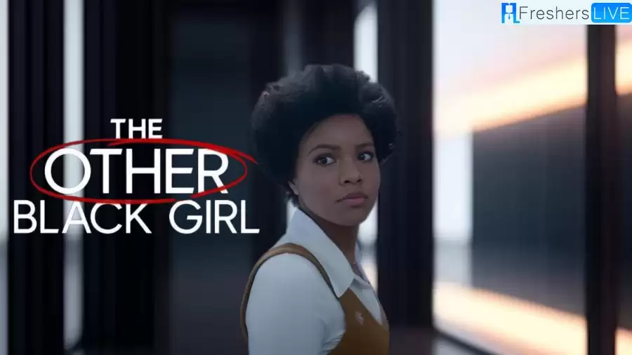 Is The Other Black Girl Based On A True Story? Is The Other Black Girl Plot, Cast And More