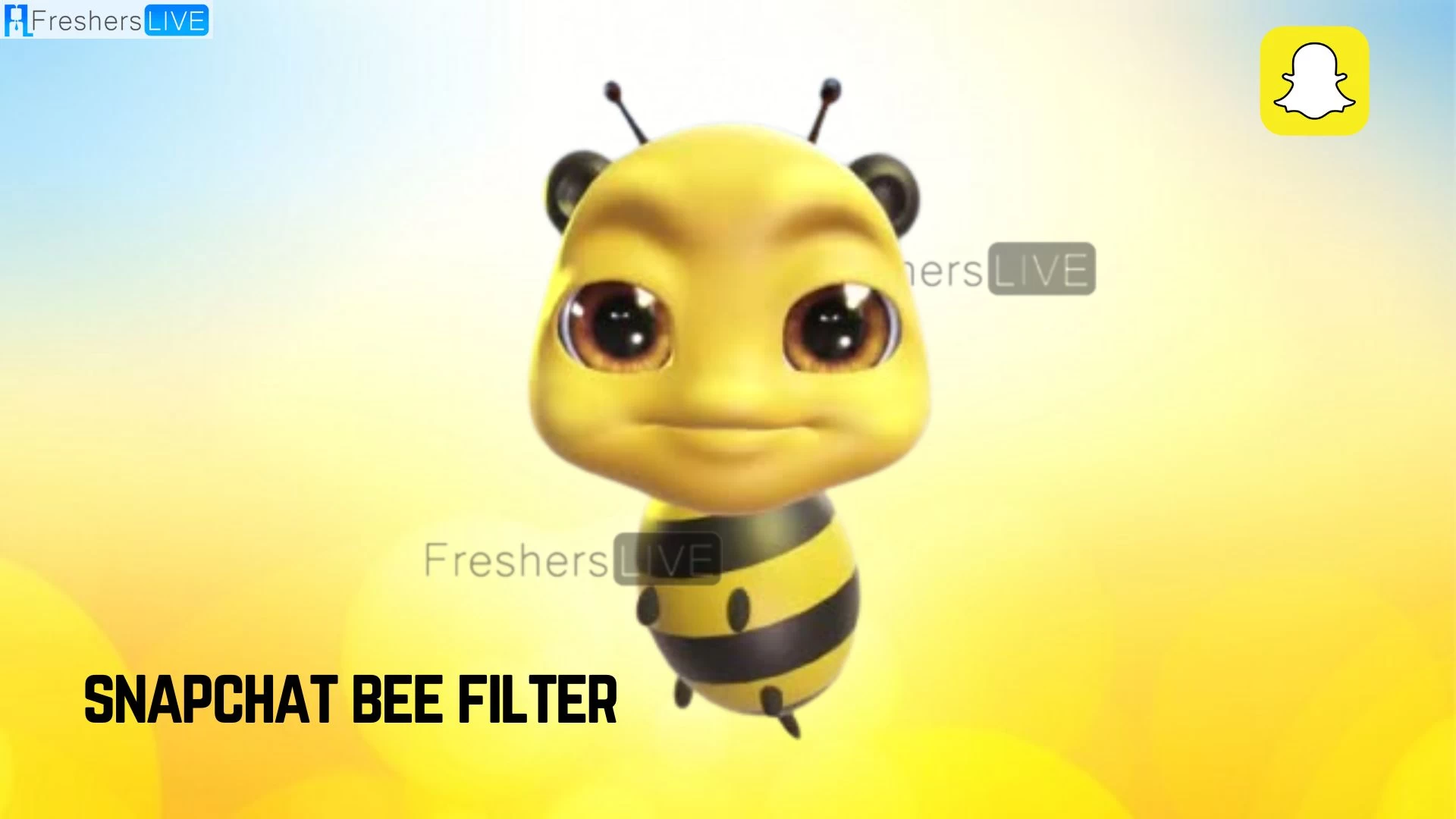 Snapchat Bee Filter, How to Get Bee Filter on Snapchat?