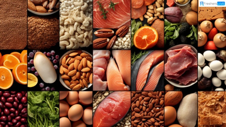 Top 10 Protein Foods - Power Up Your Diet for Muscle Growth