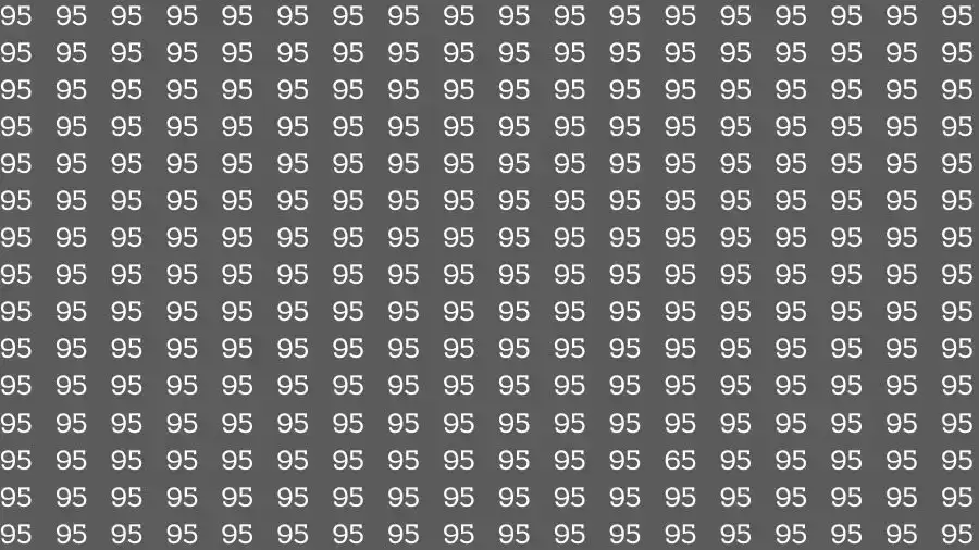 Observation Skill Test: If you have Eagle Eyes Find the number 65 among 95 in 15 Seconds?