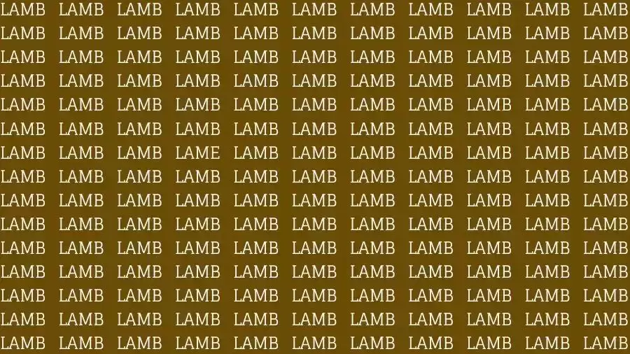 Optical Illusion Brain Test: If you have Sharp Eyes find the Word Lame among Lamb in 12 Secs