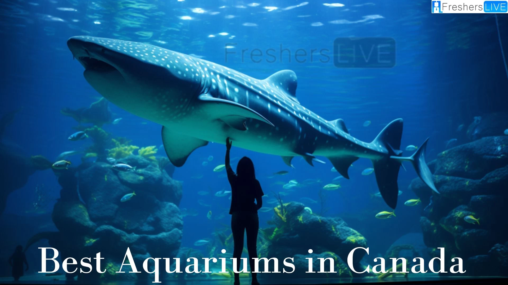 Best Aquariums in Canada - Top 10 Aquatic Treasures