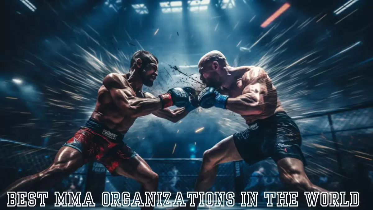Best MMA Organizations in the World - Top 10 Fighting Excellence