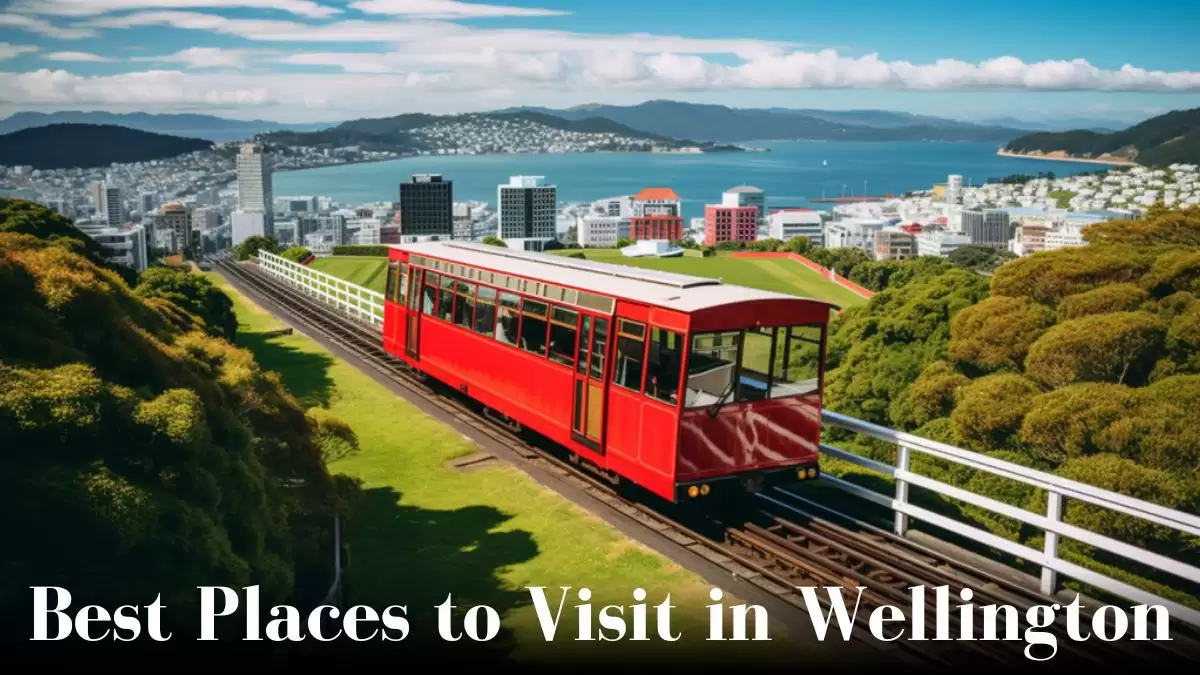Best Places to Visit in Wellington - Top 10 For an Unforgettable Experience
