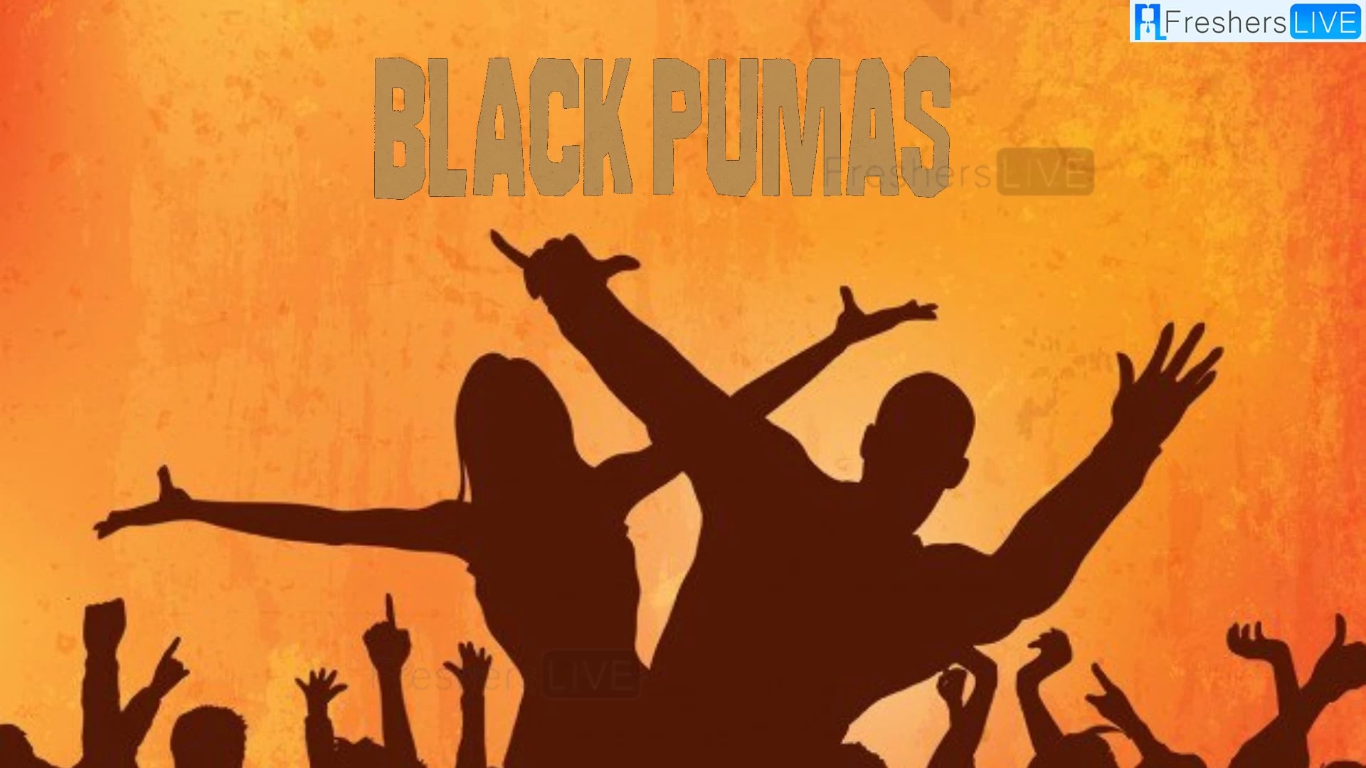 Black Pumas Presale Code 2023: How To Get Black Pumas Presale Tickets?