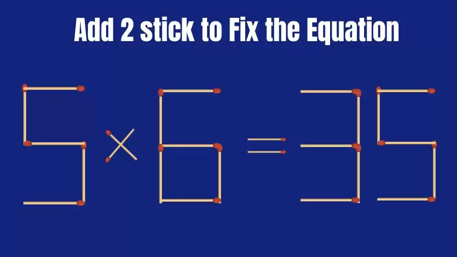 Brain Teaser: Add 2 matches to Correct this Equation