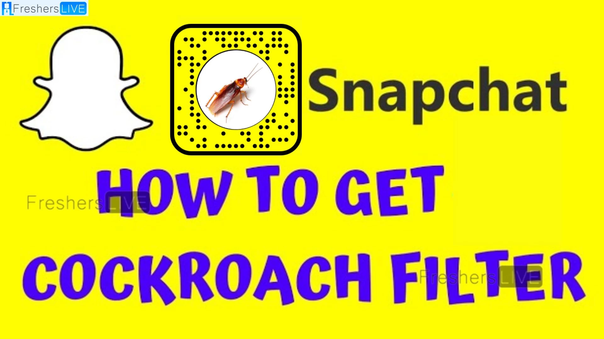 Cockroach Filter Snapchat How to Get Cockroach Filter on Snapchat?