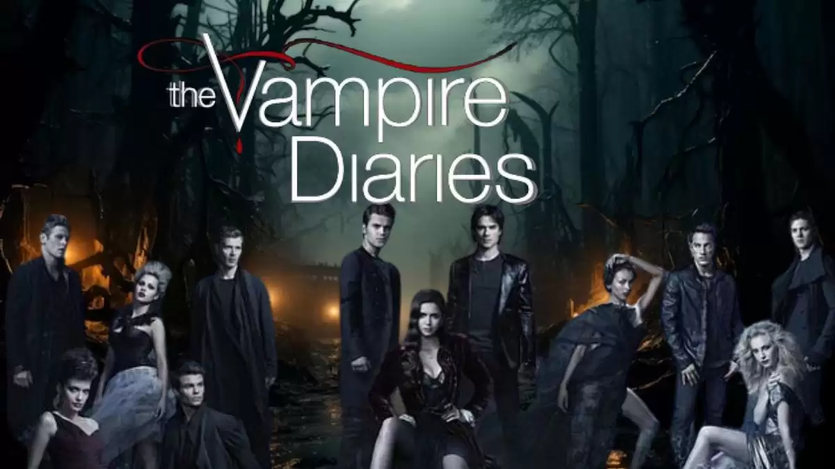 Is Vampire Diaries Season 9 Coming? Will There Be a Season 9 of The Vampire Diaries?