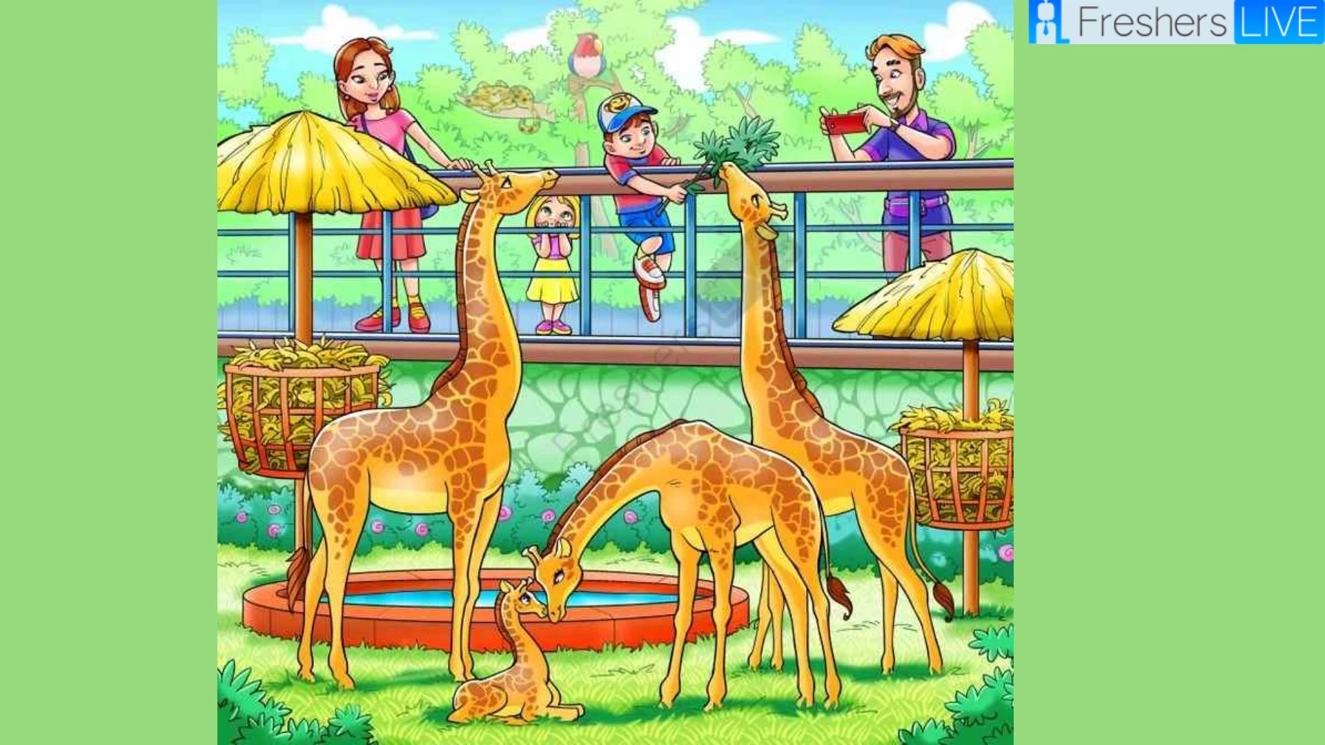 Only 5% Can Spot a Monkey Hidden Inside the Zoo Picture in less than 6 secs!