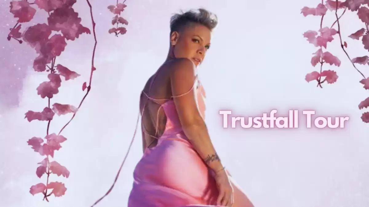 P!NK Postpones Two Dates of Trustfall Tour, Why is Pink Postponing Two Dates of Trustfall Tour?