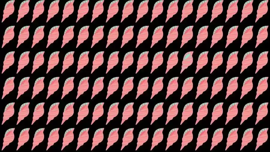 Optical Illusion Brain Test: If you have Eagle Eyes find the Odd Shell in 12 Seconds