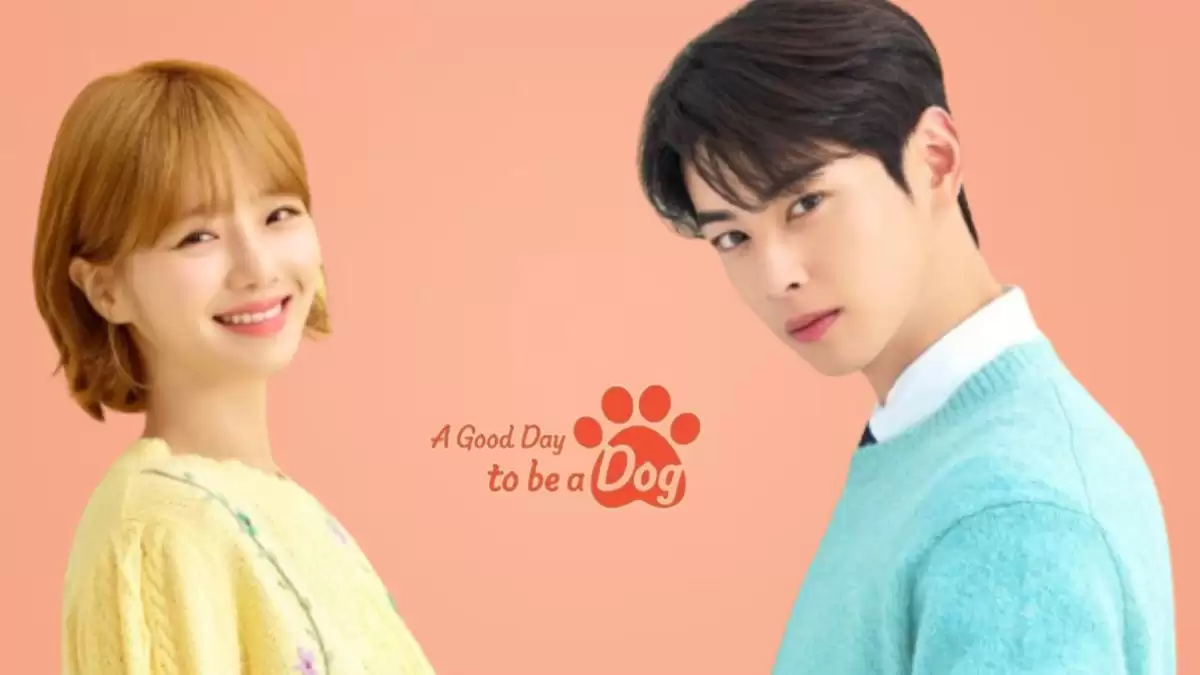 A Good Day To Be A Dog Episode 4 Ending Explained, Release Date, Cast, Plot, Review, Summary, Where To Watch And More