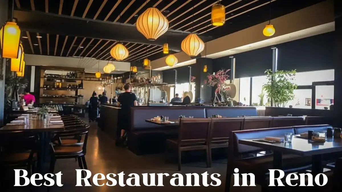 Best Restaurants in Reno - Top 10 Dining Excellence