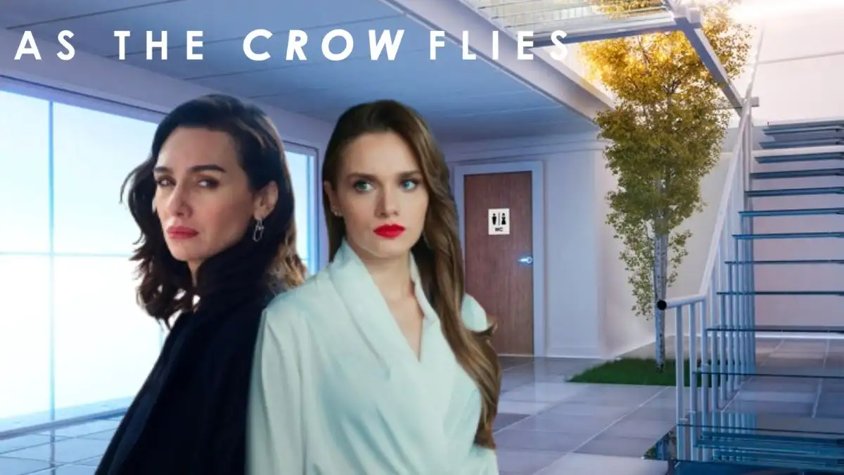 As the Crow Flies Season 2 Ending Explained, Release Date, Cast, Plot, Trailer, Review, Where to Watch and More