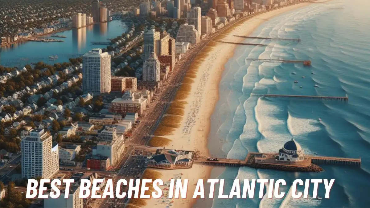 Best Beaches in Atlantic City - Top 10 Seaside Escape