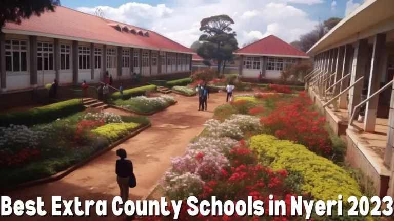 Best Extra County Schools in Nyeri 2023 - Top 10 Excellence in Curriculum
