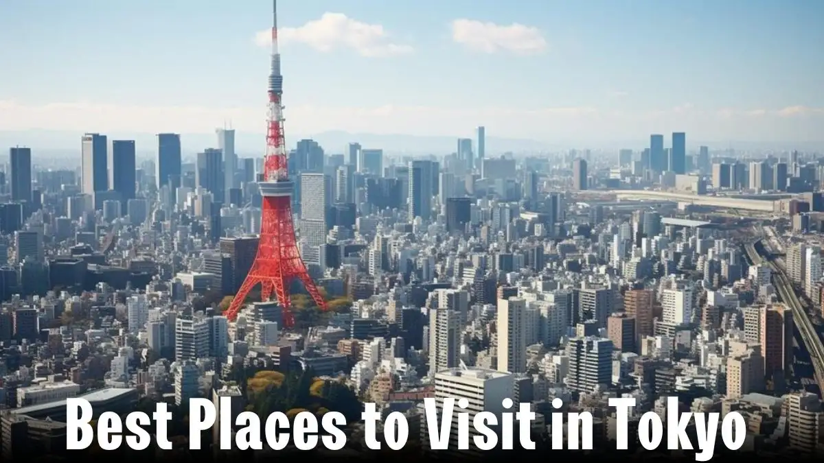Best Places to Visit in Tokyo - Top 10 Classical Attractions