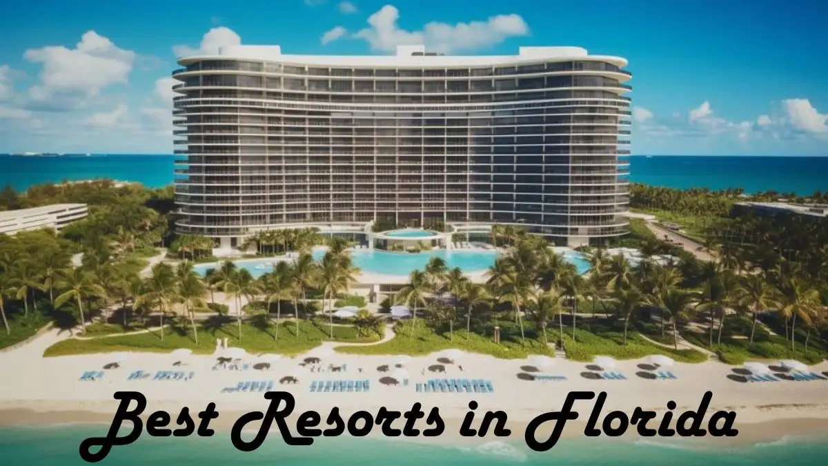 Best Resorts in Florida - Top 10 For an Unparalleled Elegance
