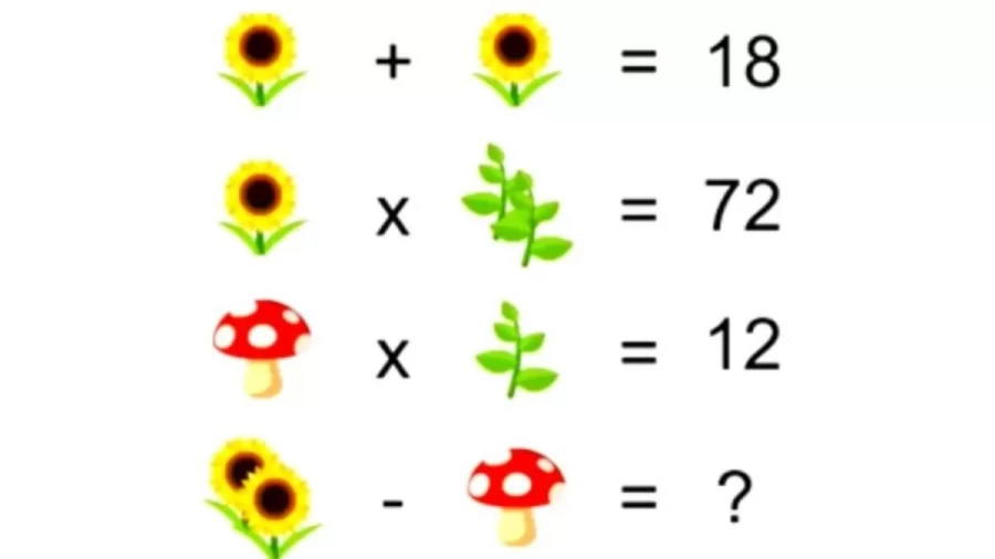 Brain Teaser Solve This Plant Math Puzzle