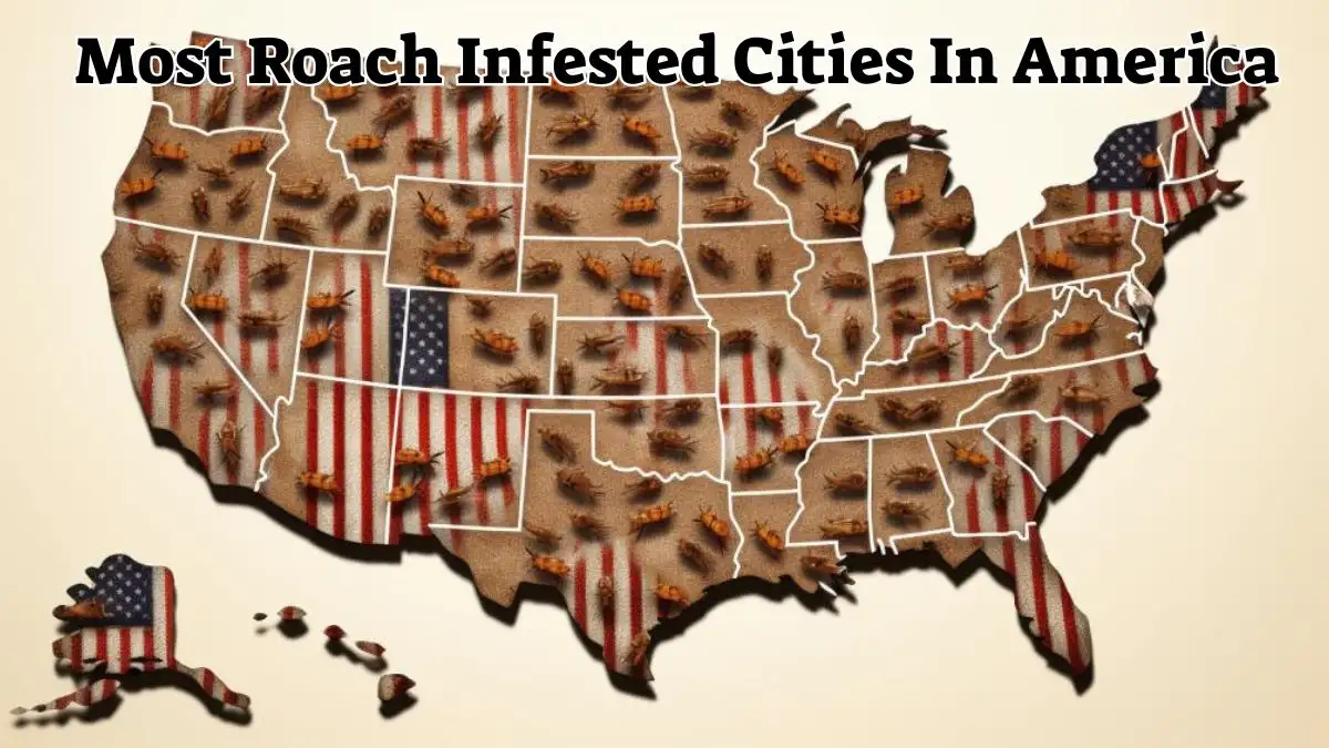 Most Roach Infested Cities in America - Top 10