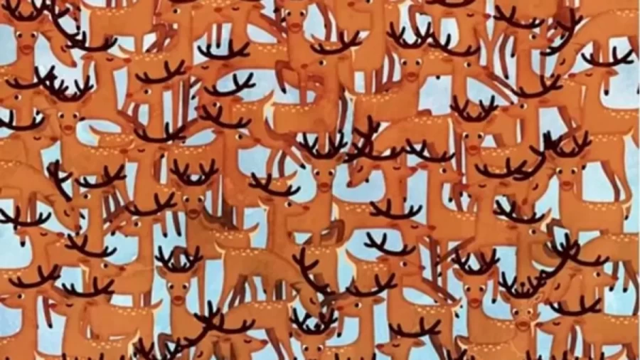 Optical Illusion Vision Test: There is a Robotic Reindeer Hidden among these Reindeers. Do You See It?