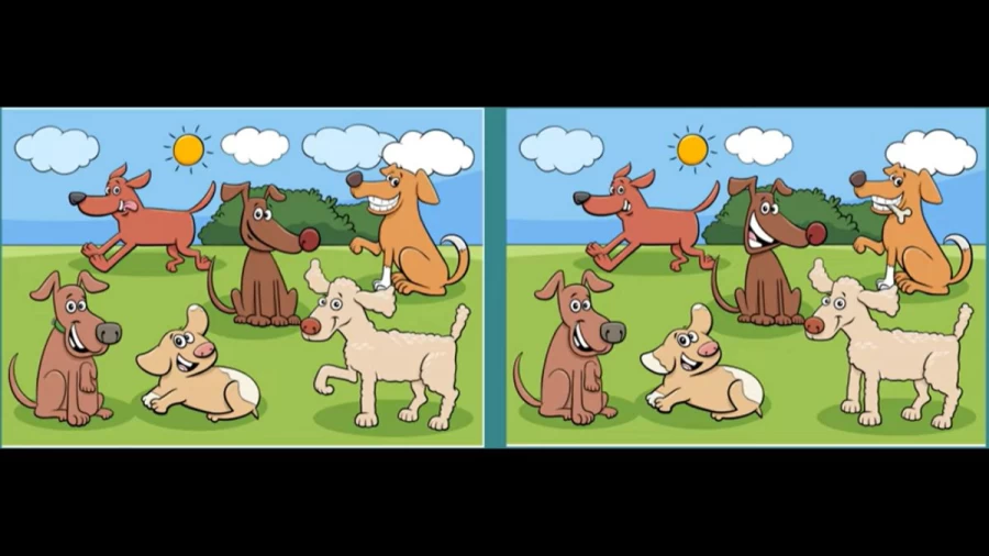 Spot the Difference Game: Only a Genius Can Find the 7 Differences in less than 35 seconds!
