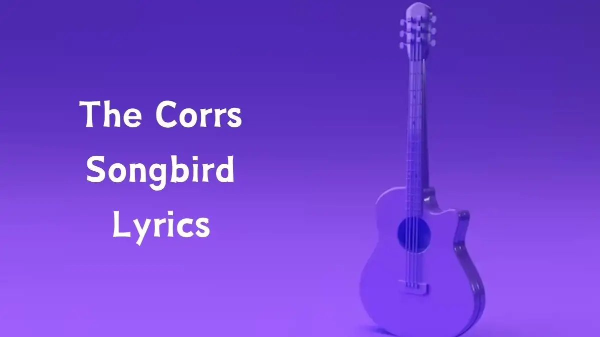 The Corrs Songbird Lyrics know the real meaning of The Corrs Songbird lyrics