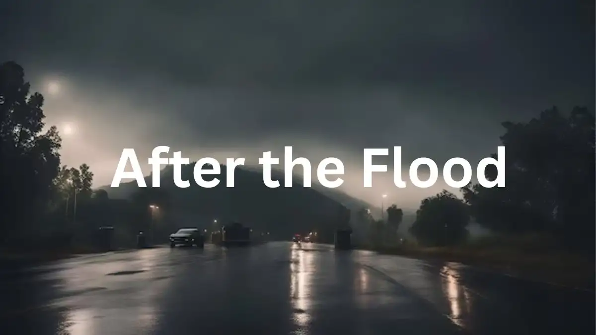 Is After the Flood Based on a True Story? After the Flood Wiki, Plot, Cast and More