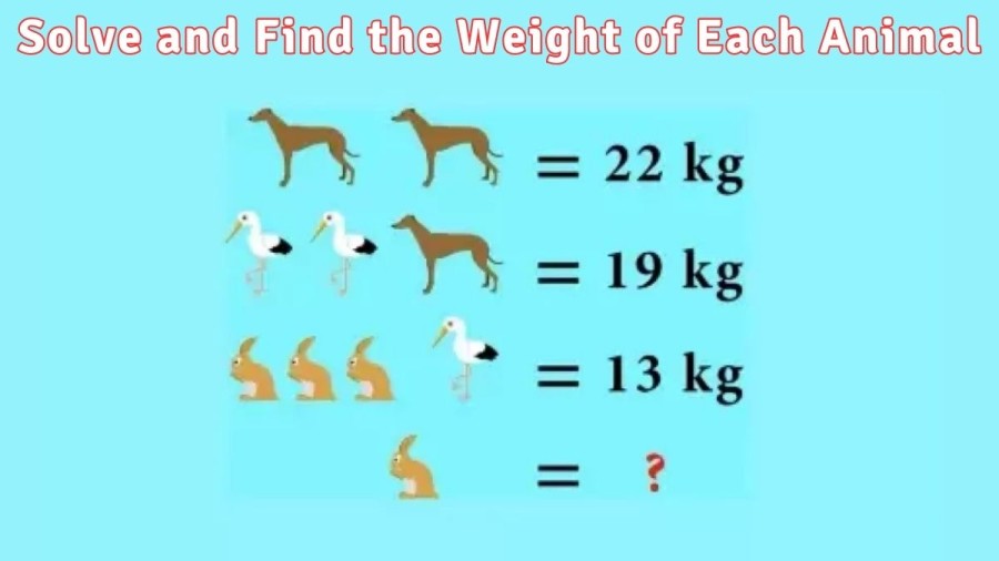 Maths Quiz: Solve and Find the Weight of Each Animal