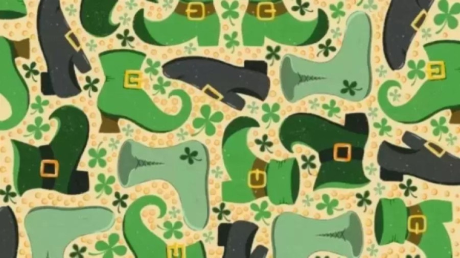 Optical Illusion: Can you find the Hidden Three Leaf Clover in 15 Seconds?