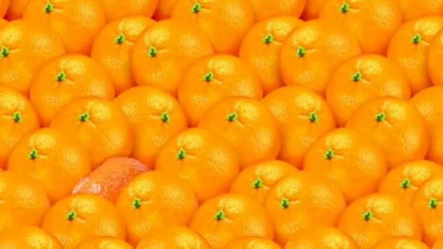 Optical Illusion To Trick Your Eyes: Spot The Hidden Tangerine Among These Oranges Within 10 Seconds