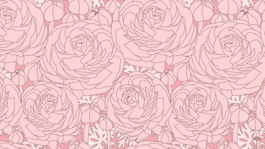 Optical Illusion Visual Test: Can you Find the Flamingo among the Flowers within 15 Seconds?