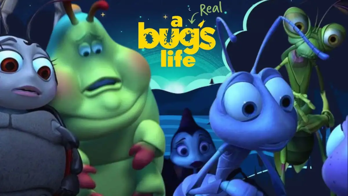 Will There Be a Real Bug Life Season 2? What to Expect From Real Bug Life Season 2?