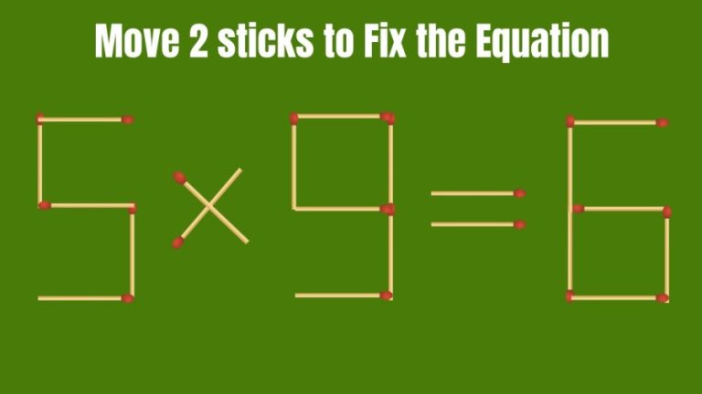 Brain Teaser: Can you Move 2 Matchsticks to make the Equation 5x9=6 Correct? Matchstick Puzzle