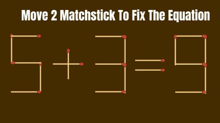 Brain Teaser - Move 2 Matchstick To Fix The Equation 5+3=9