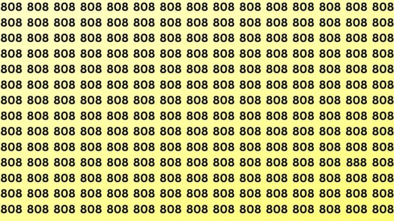 Optical Illusion: Can you find the number 888 among 808 in 12 seconds?