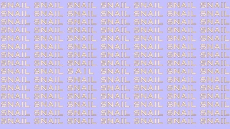 Optical Illusion: If you have Hawk Eyes find the Word Sail among Snail in 20 Secs